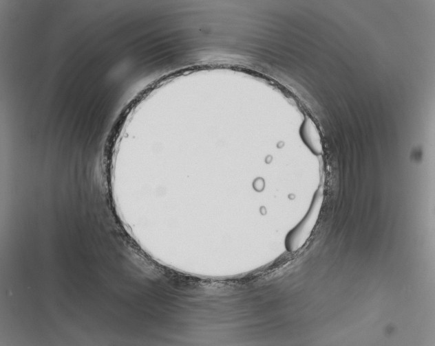 X0000116461022201001201256