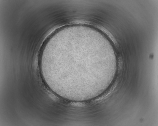 X0000116461023201001201256