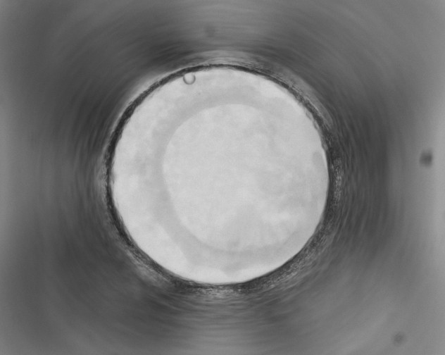 X0000116461024201001201256