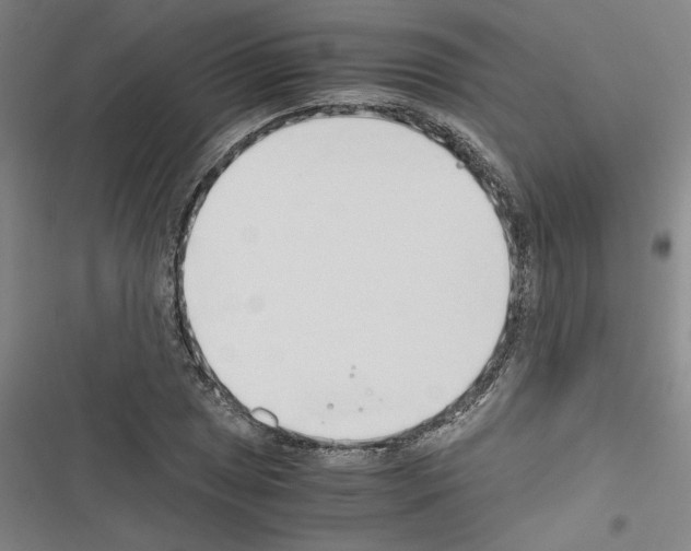 X0000116461025201001201256