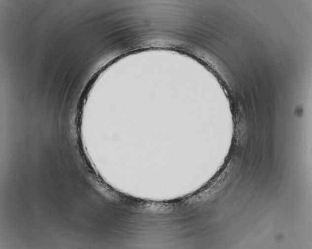 X0000116461026201001201256