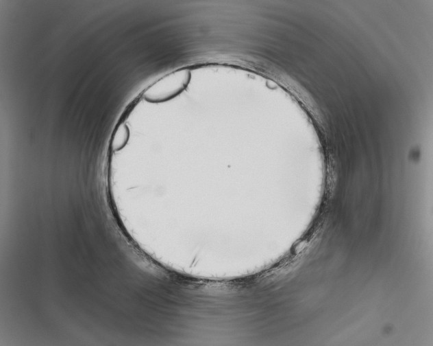 X0000116461028201001201256