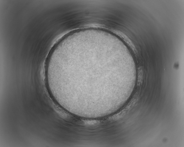 X0000116461031201001201256