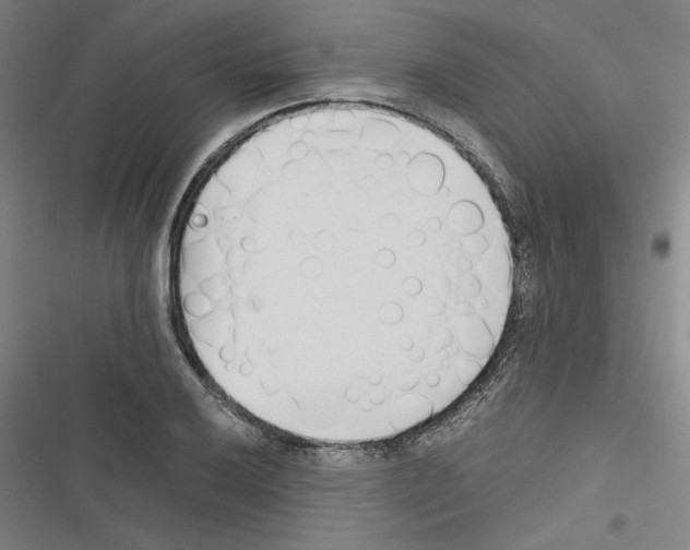 X0000116461032201001201256