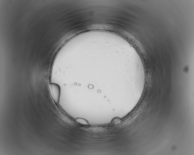 X0000116461033201001201256