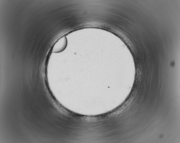 X0000116461034201001201256