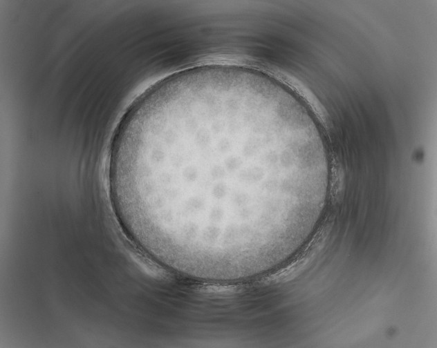 X0000116461035201001201256