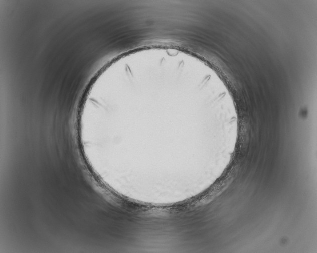 X0000116461038201001201256