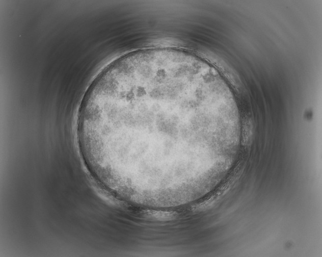 X0000116461039201001201256