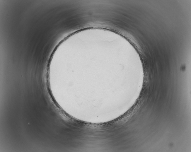 X0000116461040201001201256