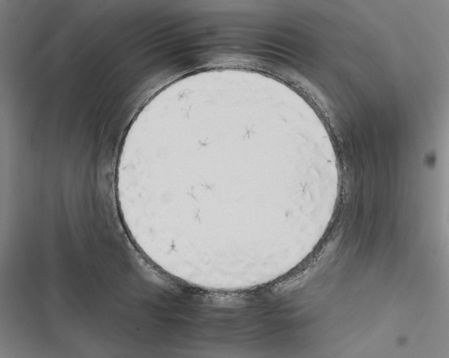 X0000116461041201001201256