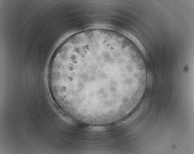 X0000116461043201001201256