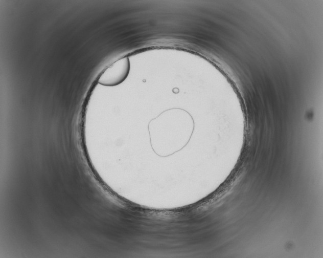 X0000116461045201001201256