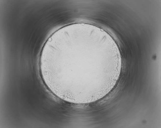 X0000116461048201001201256