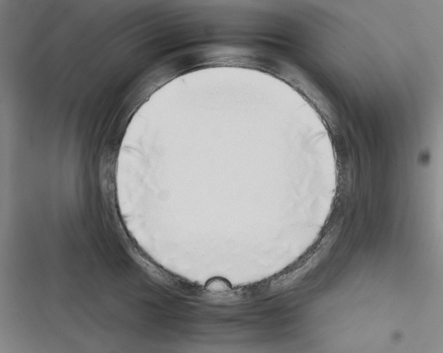 X0000116461049201001201256