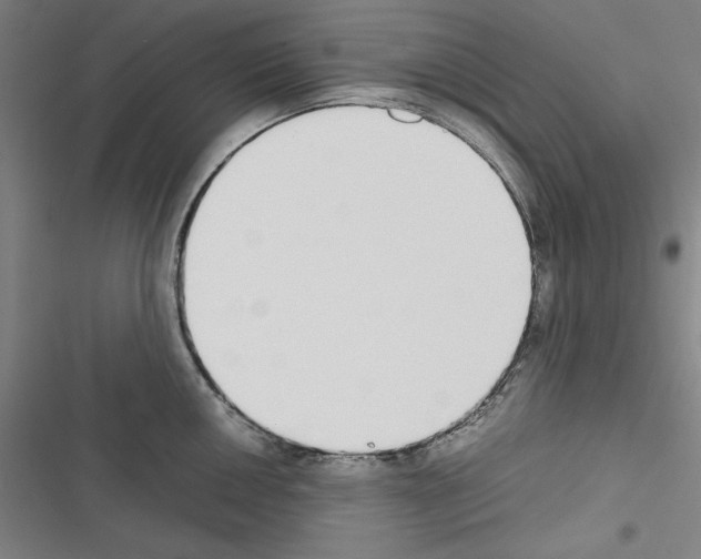 X0000116461050201001201256