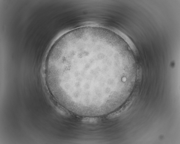 X0000116461051201001201256
