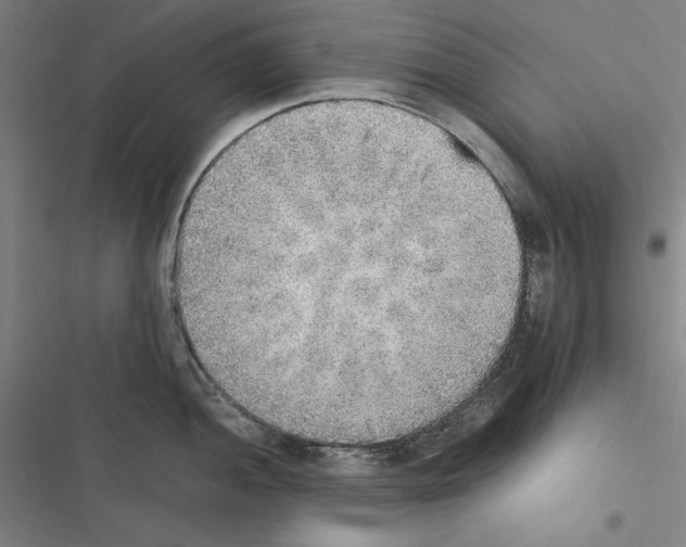 X0000116461052201001201256