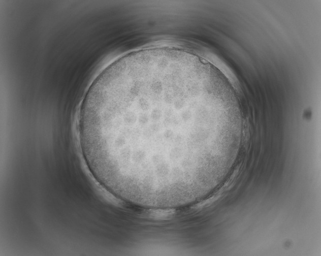 X0000116461055201001201256