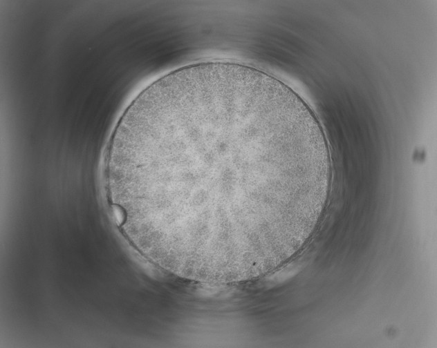 X0000116461056201001201256