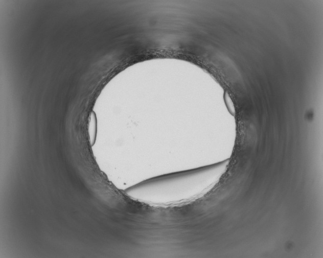 X0000116461057201001201255
