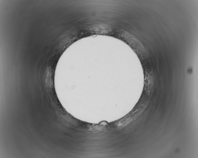 X0000116461058201001201255