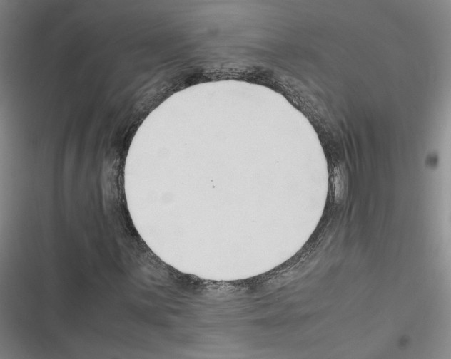 X0000116461059201001201255