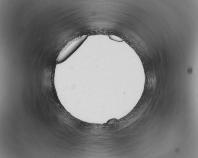 X0000116461060201001201255