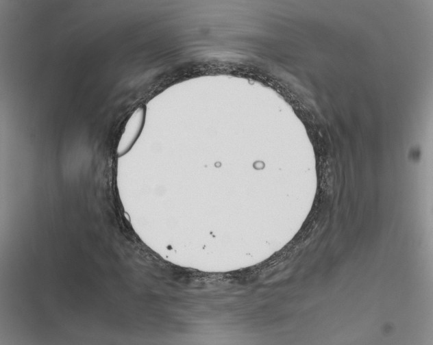 X0000116461061201001201255