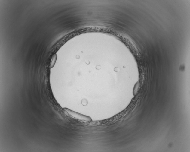 X0000116461064201001201255