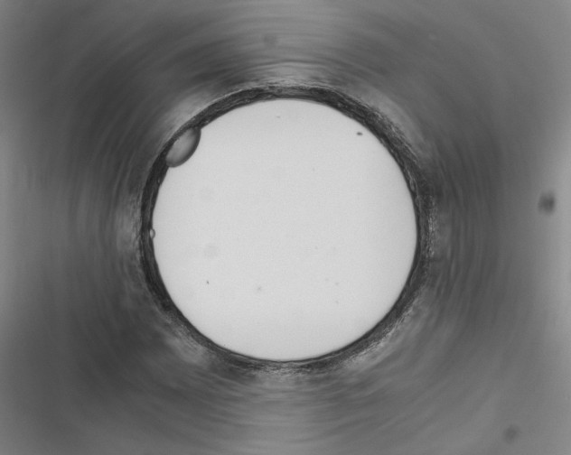 X0000116461065201001201255