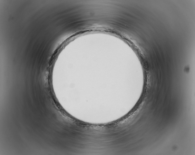 X0000116461066201001201255