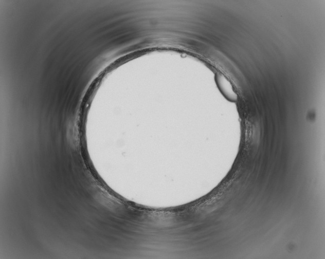 X0000116461068201001201255