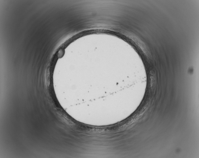 X0000116461069201001201255