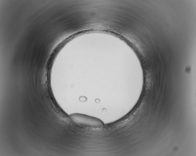 X0000116461070201001201255