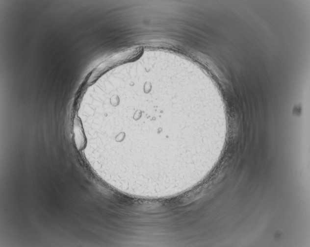 X0000116461071201001201255