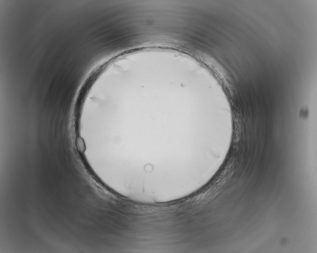 X0000116461072201001201255