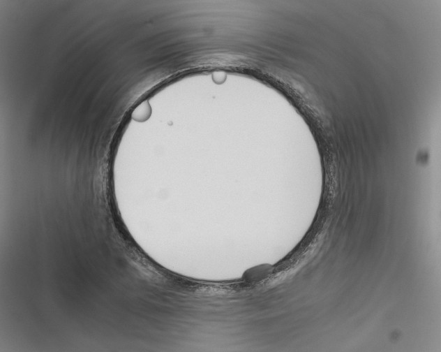 X0000116461073201001201255
