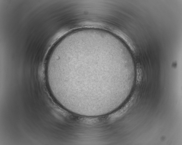 X0000116461074201001201255