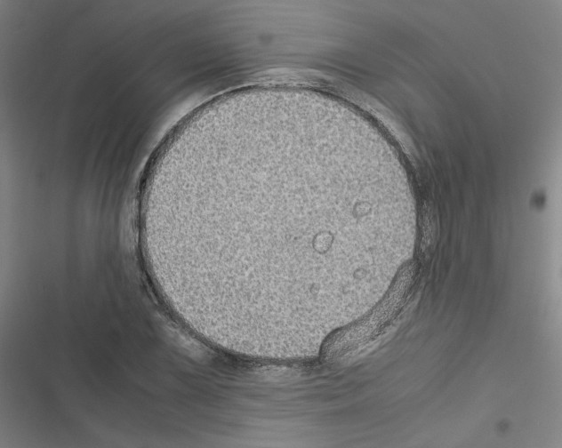 X0000116461075201001201255