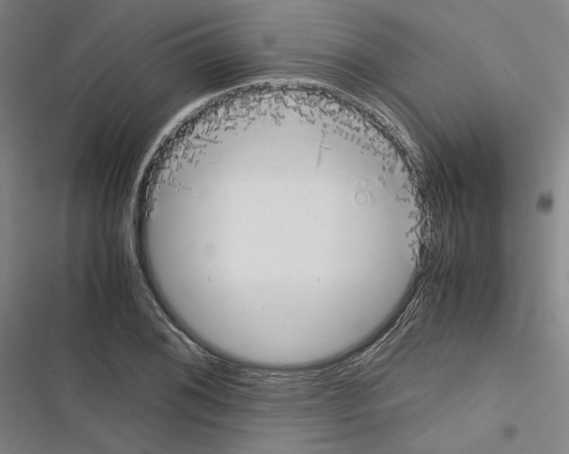 X0000116461076201001201255