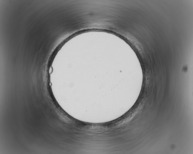 X0000116461077201001201255