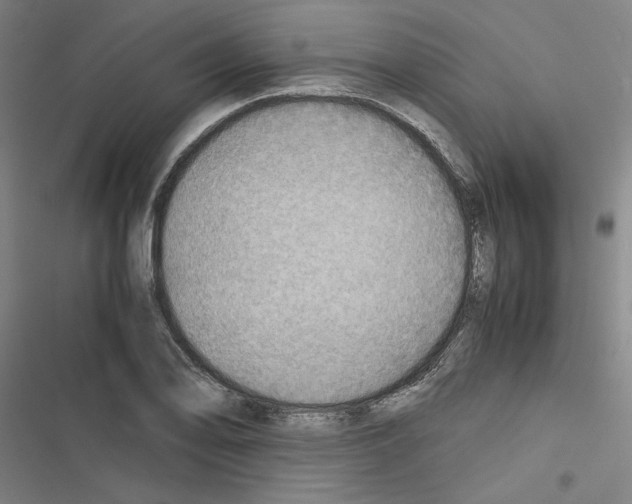 X0000116461078201001201255