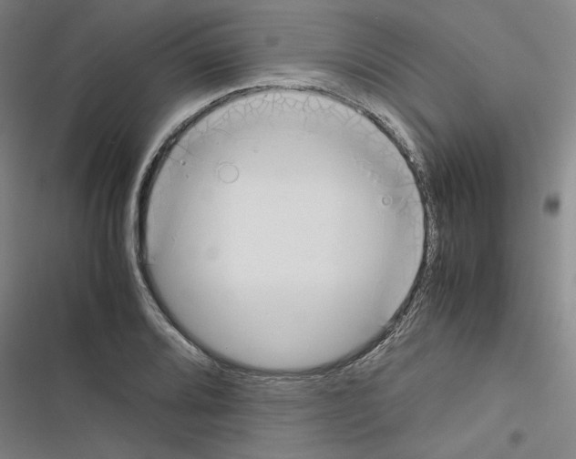 X0000116461080201001201255
