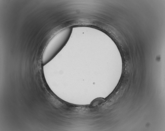 X0000116461081201001201255