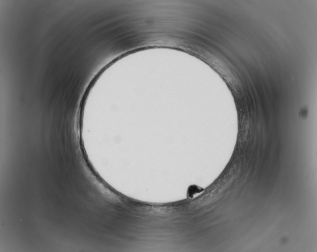 X0000116461084201001201255