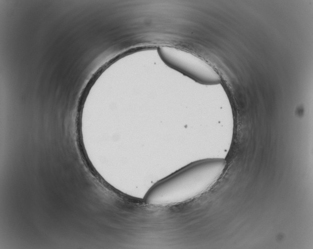X0000116461085201001201255