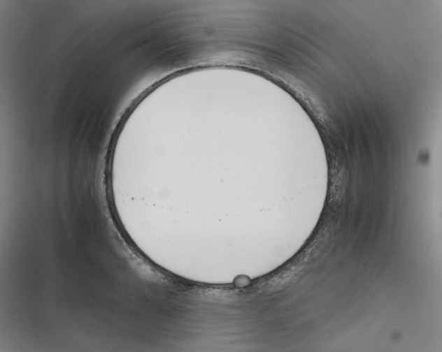 X0000116461086201001201255