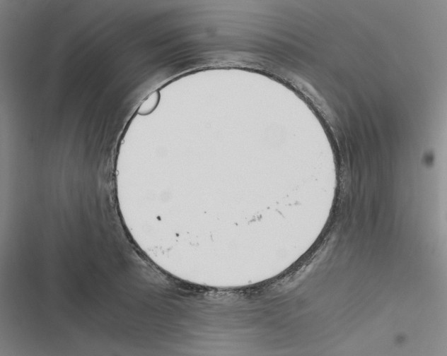 X0000116461089201001201255