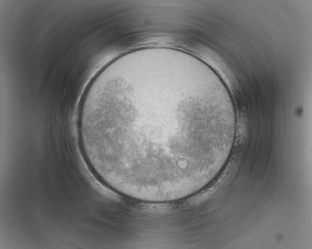 X0000116461090201001201255